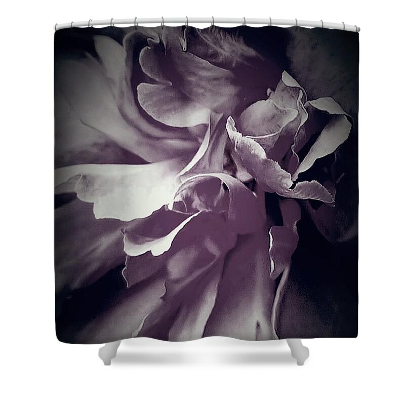 Petals Shower Curtain featuring the digital art Black and White Abstract Petals by Loraine Yaffe