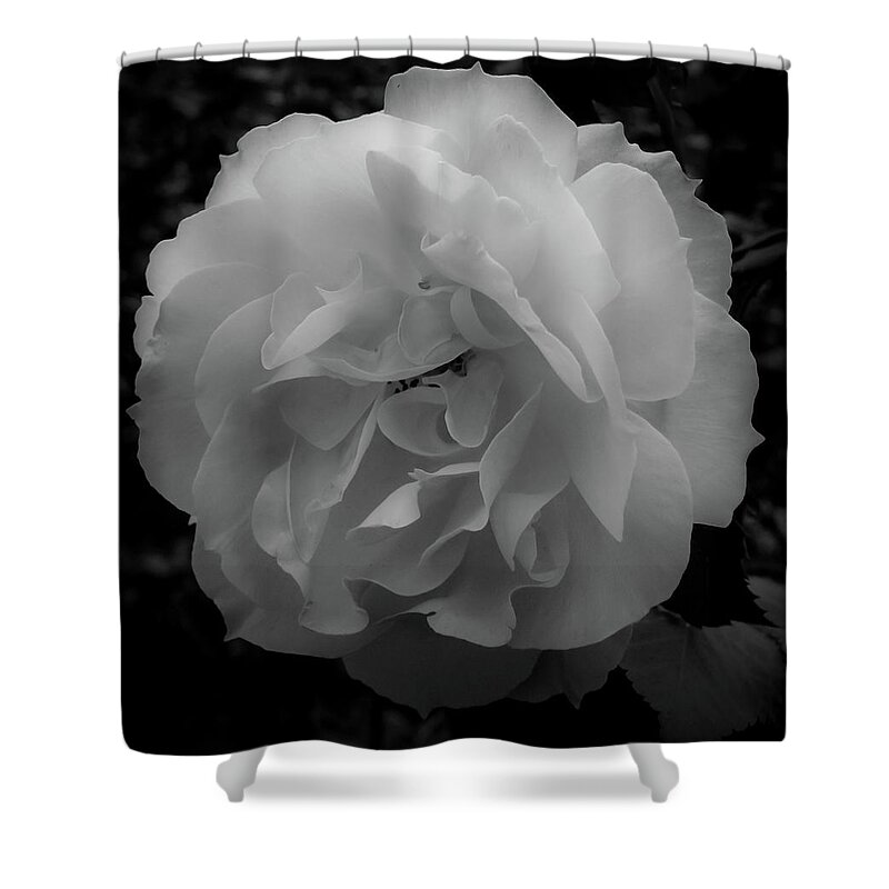 Flower Shower Curtain featuring the photograph Black and White by Anamar Pictures