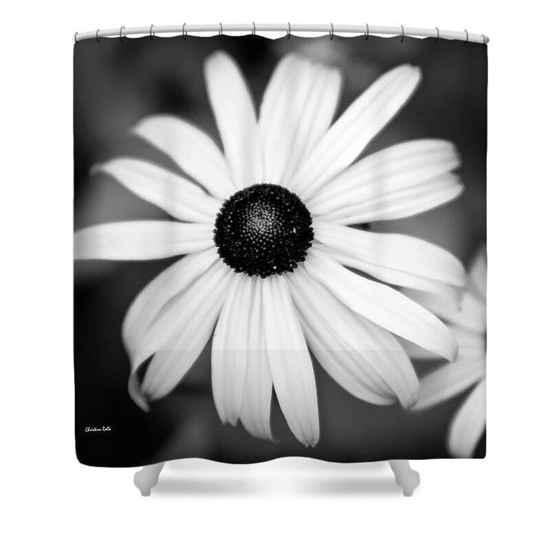 Black And White Shower Curtain featuring the photograph Black and White Rudbeckia Flowers by Christina Rollo