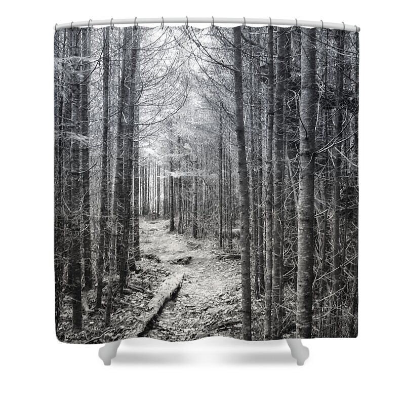 B&w Shower Curtain featuring the photograph Black and White Northern Maine Trail by Russel Considine