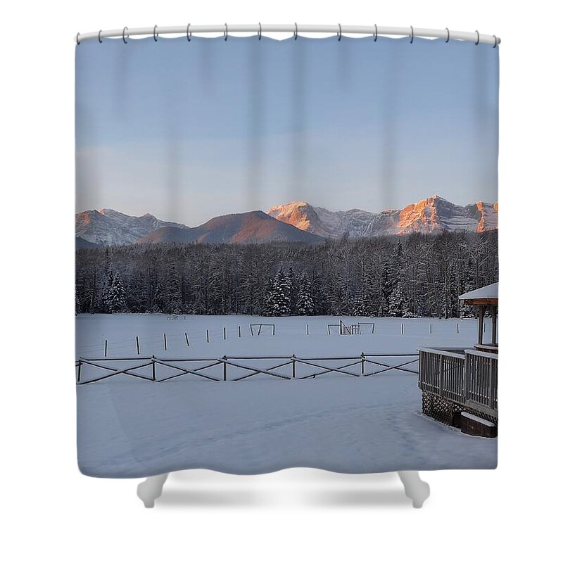 Ranch Shower Curtain featuring the photograph Black Cat 1 by Lisa Mutch