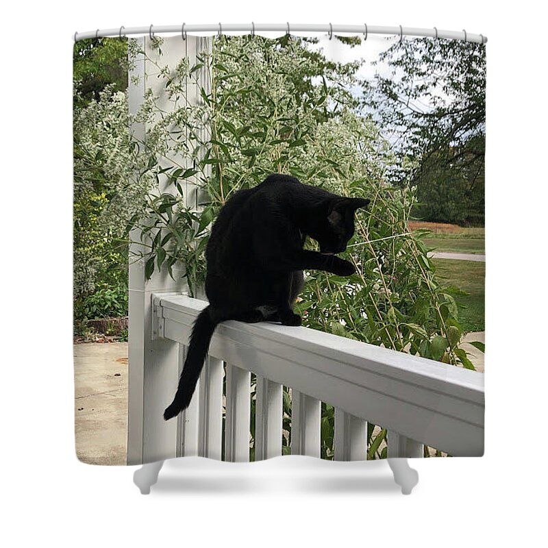 Black Cat Shower Curtain featuring the photograph Black Cat Bathing by Valerie Collins