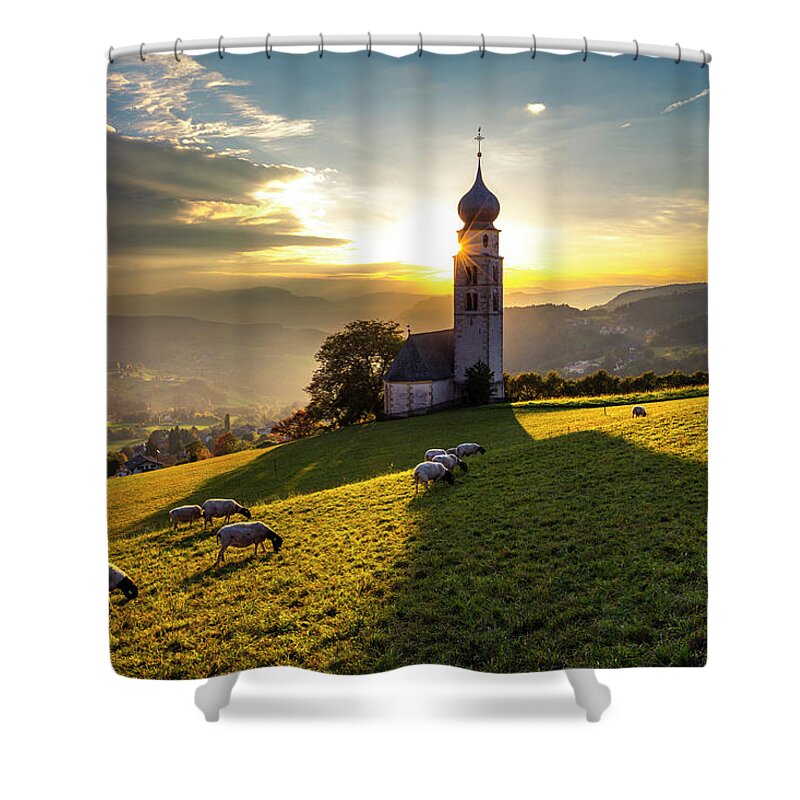 Nature Shower Curtain featuring the photograph Black Heads by Evgeni Dinev