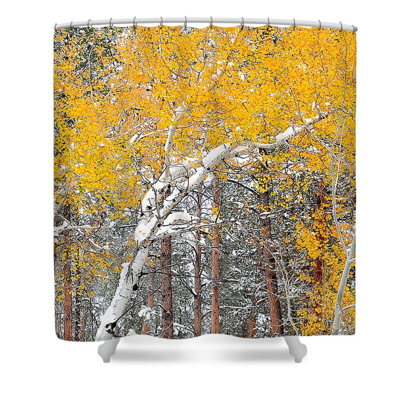 Black Hills Shower Curtain featuring the photograph Black Hills Brilliance by Clarice Lakota