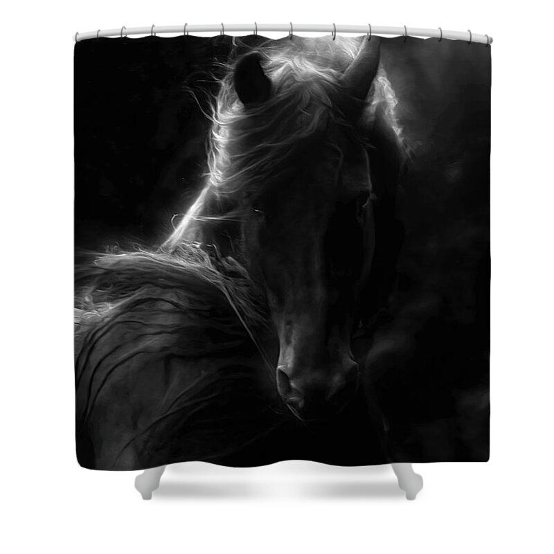 Black Magic Shower Curtain featuring the photograph Black Magic by Wes and Dotty Weber