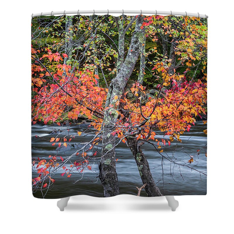 Blackstone River Shower Curtain featuring the photograph Blackstone River LVI Color by David Gordon