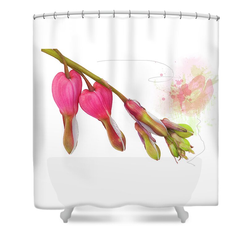 Heart Shower Curtain featuring the mixed media Bleeding Heart by Moira Law