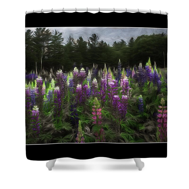 Lupine Shower Curtain featuring the photograph Blending the Lupines Poster by Wayne King