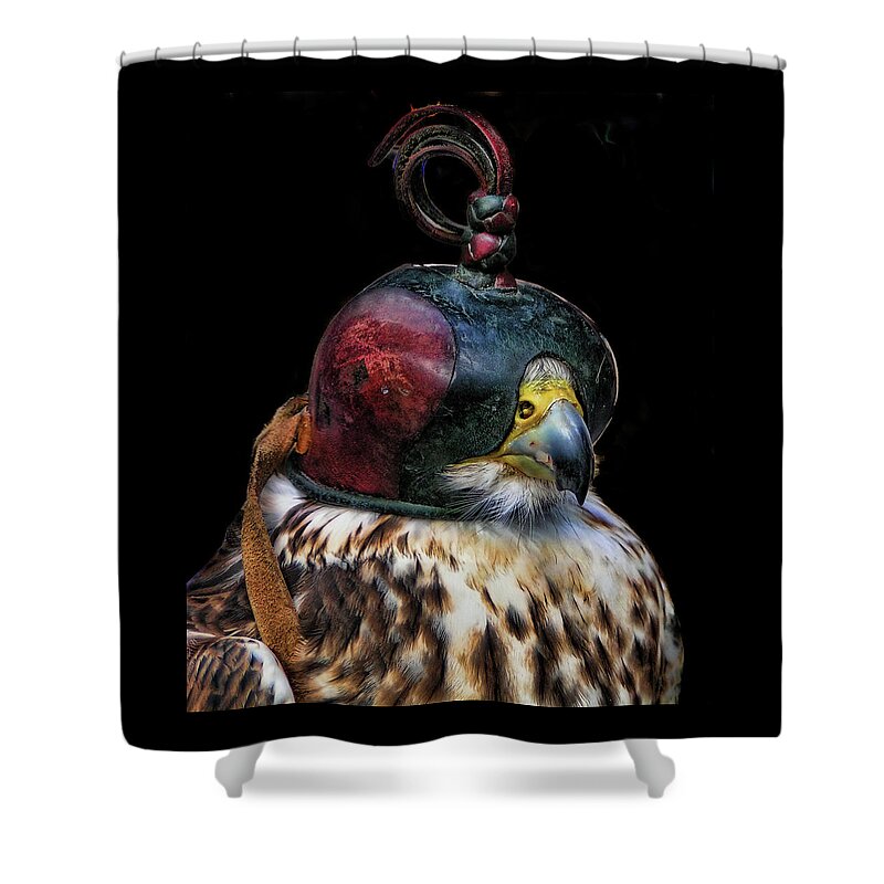 Falcon Shower Curtain featuring the photograph Blinded Falcon by Alexandra's Photography