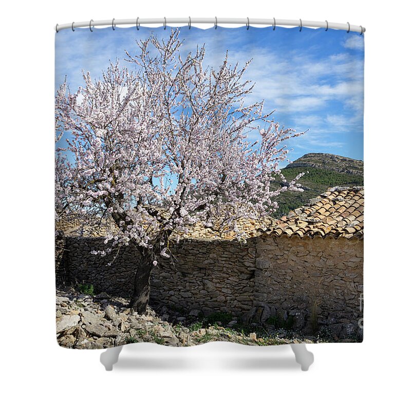 Almond Tree Shower Curtain featuring the photograph Blooming almond tree and traditional farmhouse by Adriana Mueller