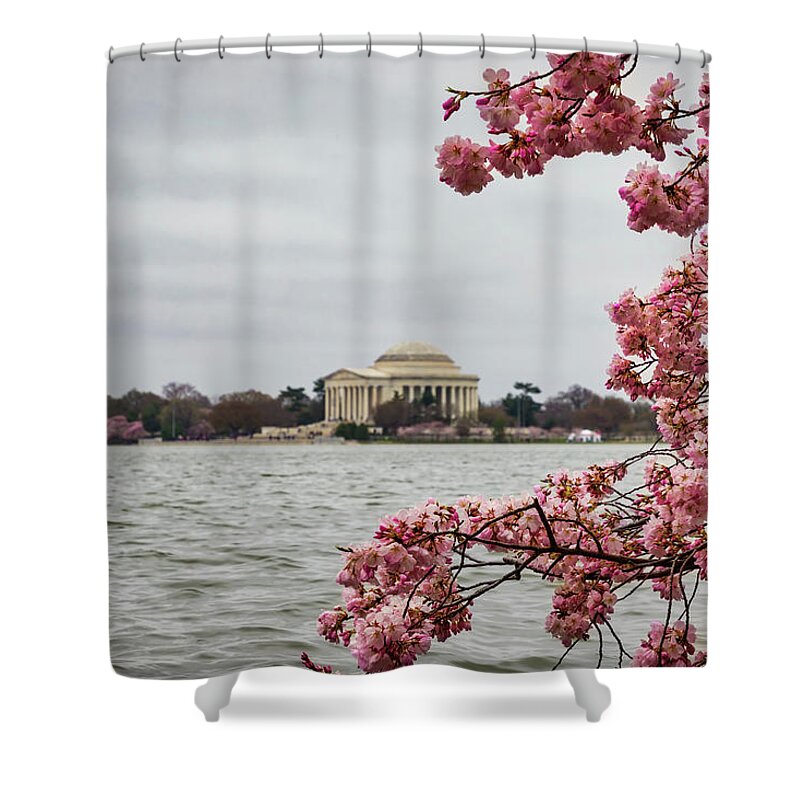 Bloom Shower Curtain featuring the photograph Blossoms and Cloudy by Bill Chizek