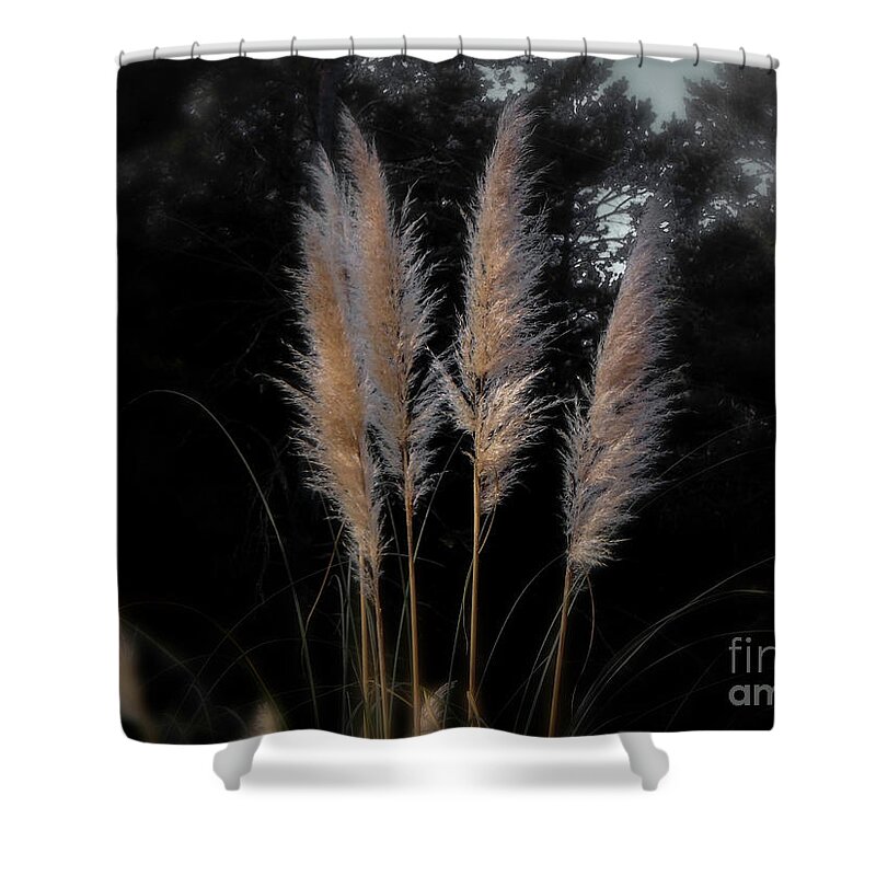 Grass Shower Curtain featuring the photograph Blowing in the Wind by Judy Hall-Folde