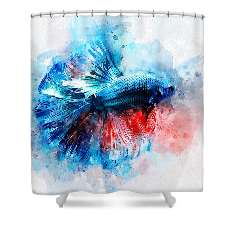 Blue and Red Betta Fish watercolor Shower Curtain by Sp Je - Pixels