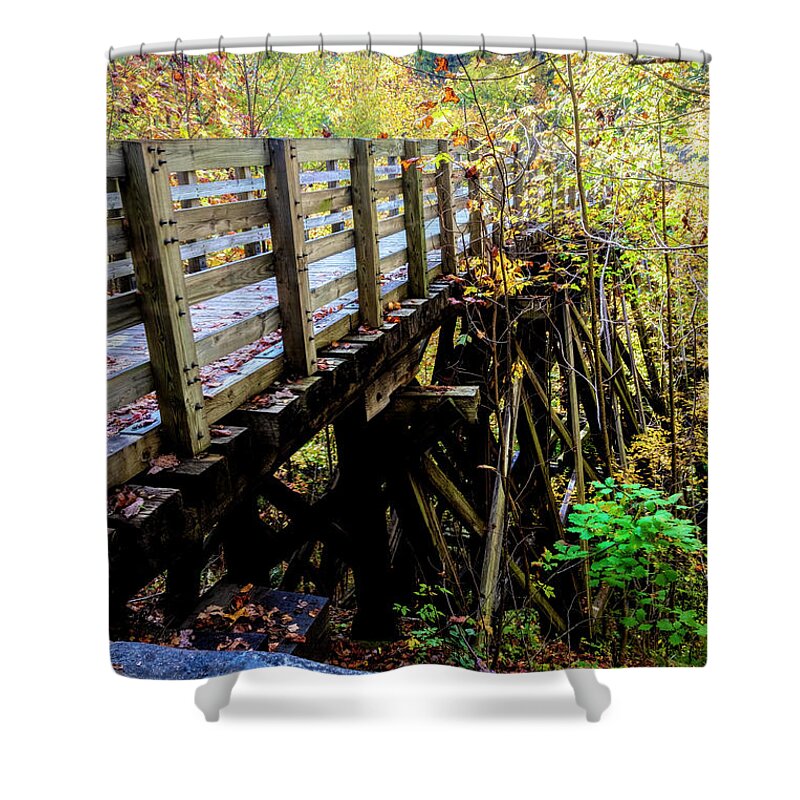 Bird Shower Curtain featuring the photograph Blue Bird on the Trestle Creeper Trail Damascus Virginia by Debra and Dave Vanderlaan
