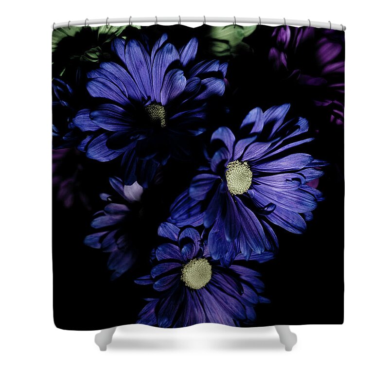 Blue Flowers Shower Curtain featuring the photograph Blue Chrysanthemum by Darcy Dietrich