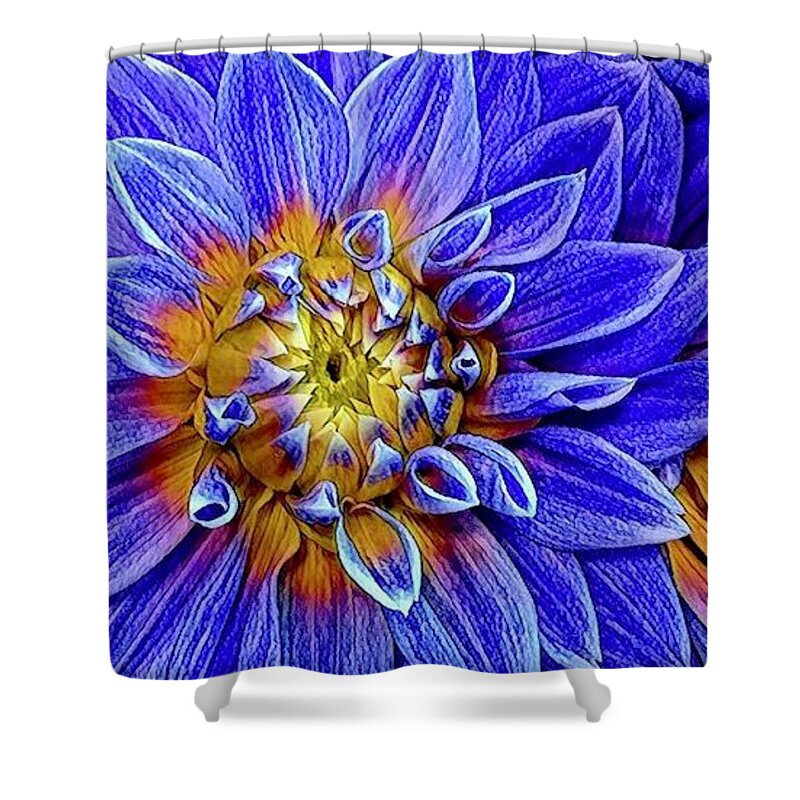 Nature Shower Curtain featuring the photograph Blue Dahlia Macro by Bruce Bley