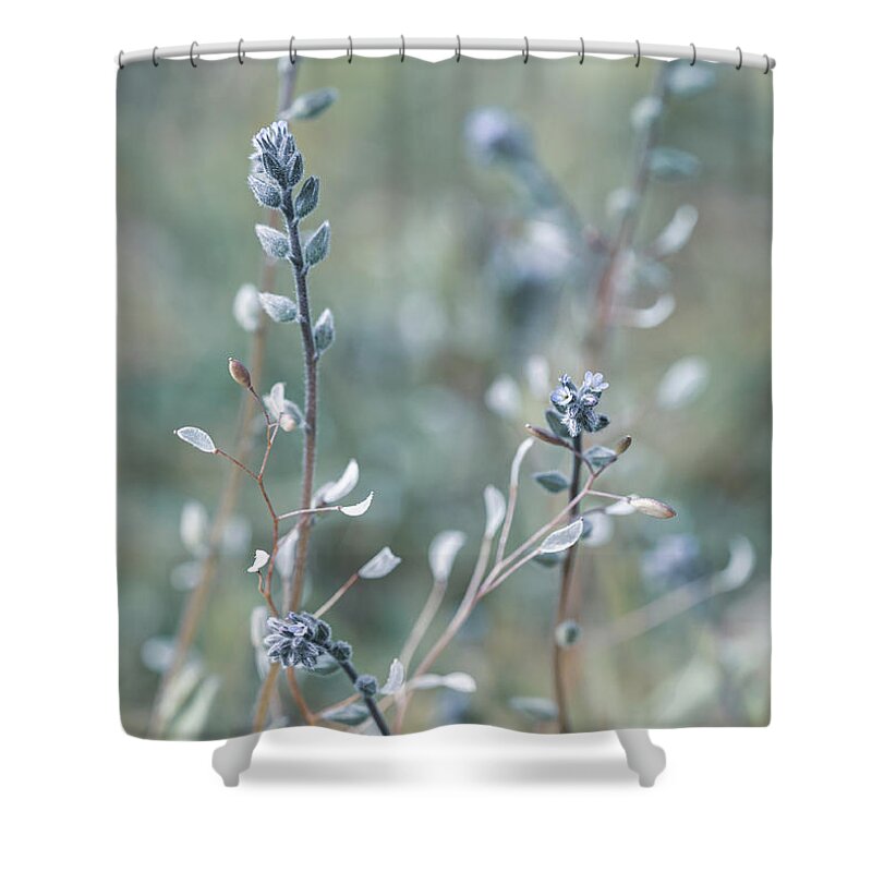 Plant Shower Curtain featuring the photograph Blue Field of Wild Flowers by Amelia Pearn