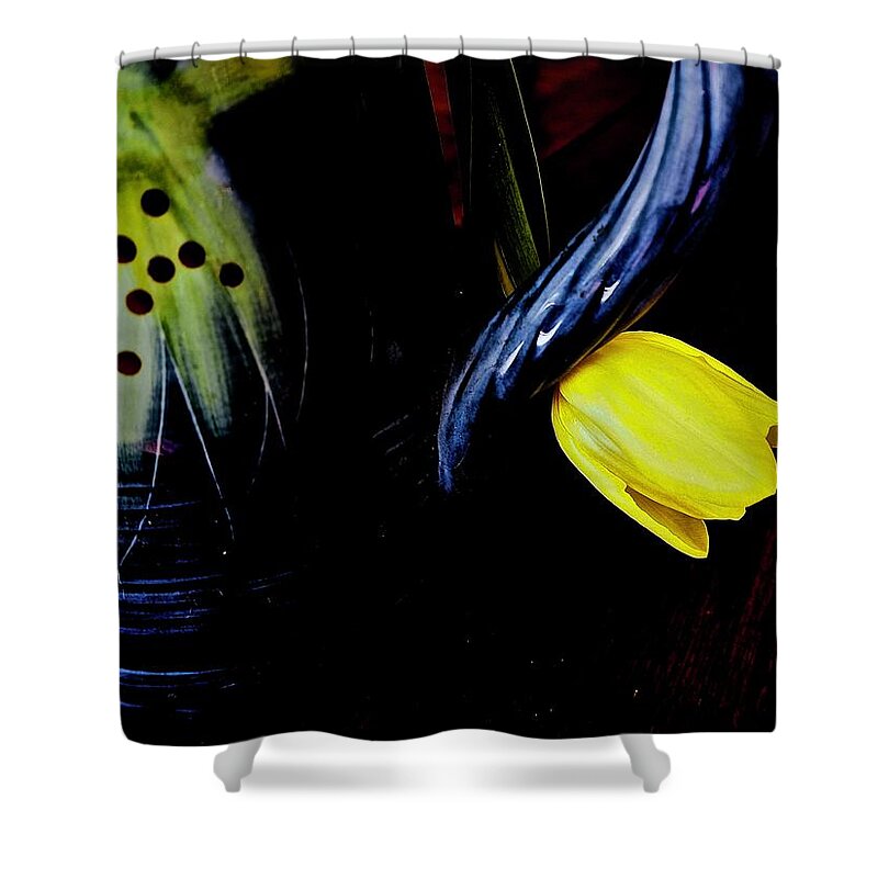 Flower Shower Curtain featuring the photograph Blue Handle and Tulip by Alida M Haslett