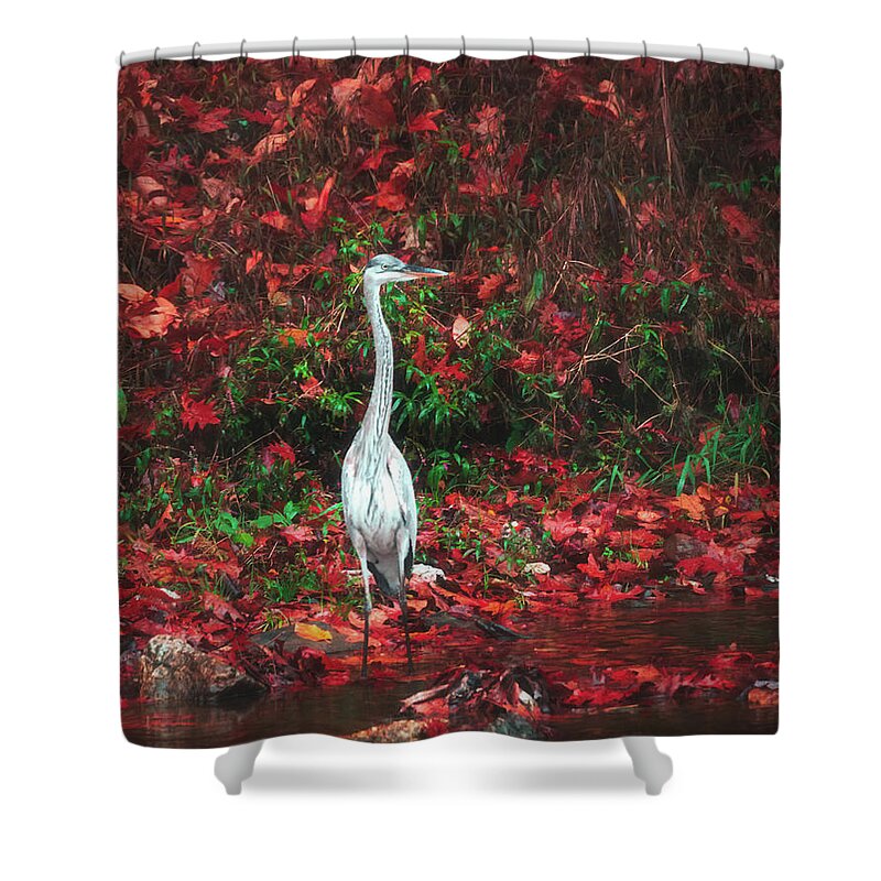 Heron Shower Curtain featuring the photograph Blue Heron and Red Autumn Leaves by Jason Fink