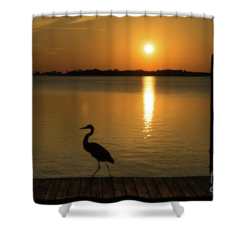 Reflection Shower Curtain featuring the photograph Blue Heron on the Dock at Sunset by Beachtown Views