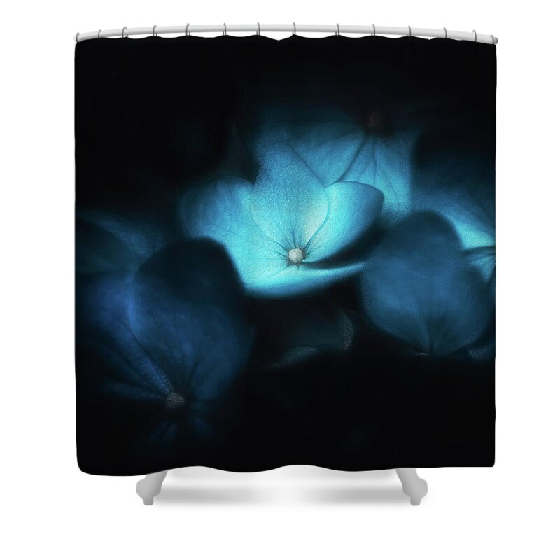 Hydrangeas Shower Curtain featuring the photograph Blue hydrangeas by Philippe Sainte-Laudy