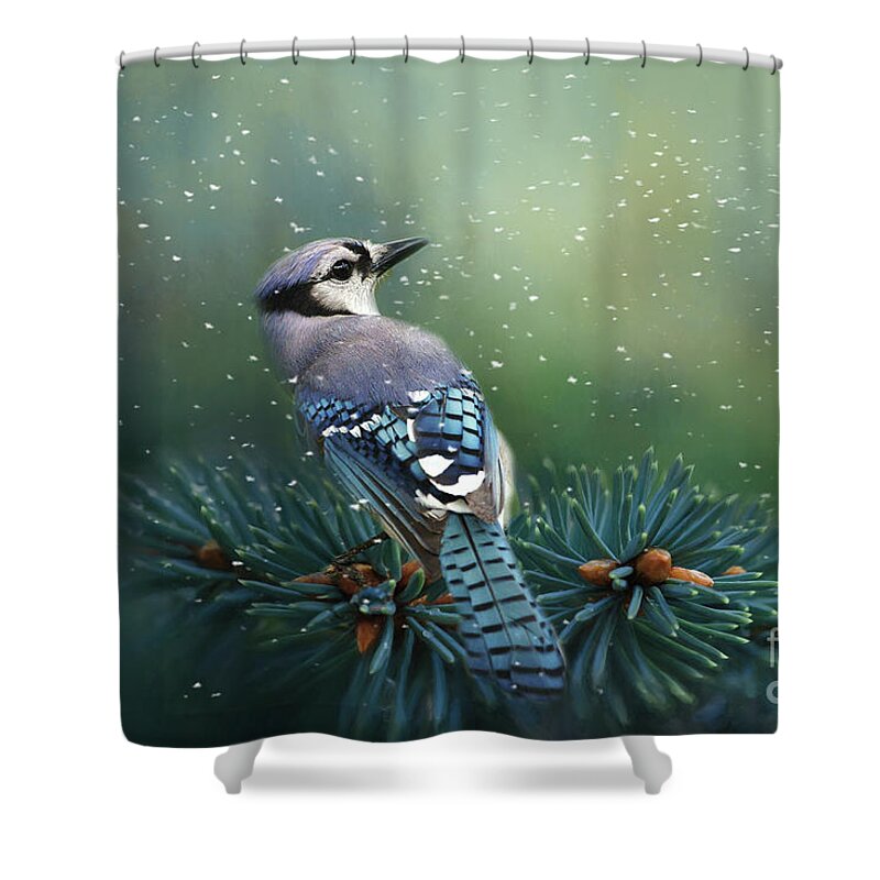 Blue Jay Shower Curtain featuring the mixed media Blue Jay in Winter by Kathy Kelly