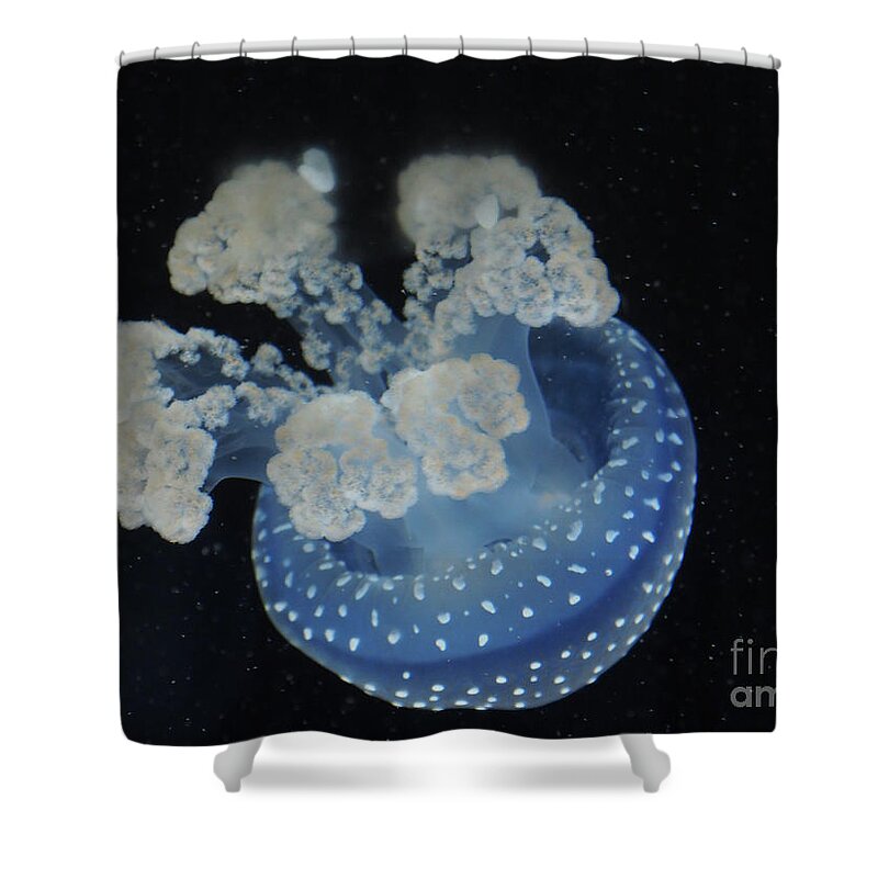 Blue Shower Curtain featuring the photograph Blue Jelly Fish by Adrienne Franklin