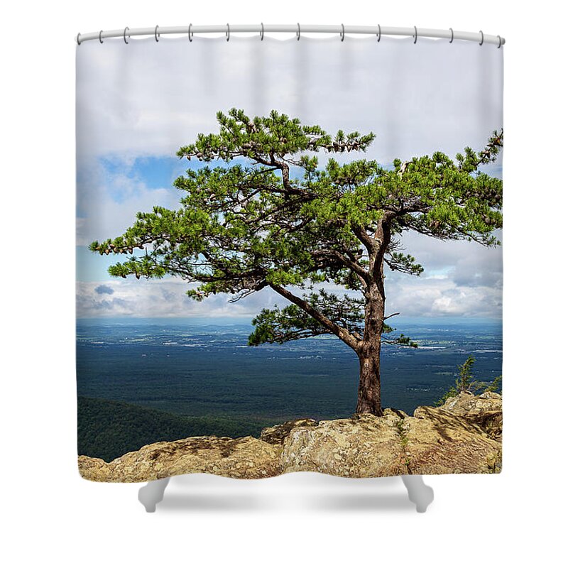 2020 Shower Curtain featuring the photograph Blue Ridge Parkway-2 The Sentinel by Charles Hite