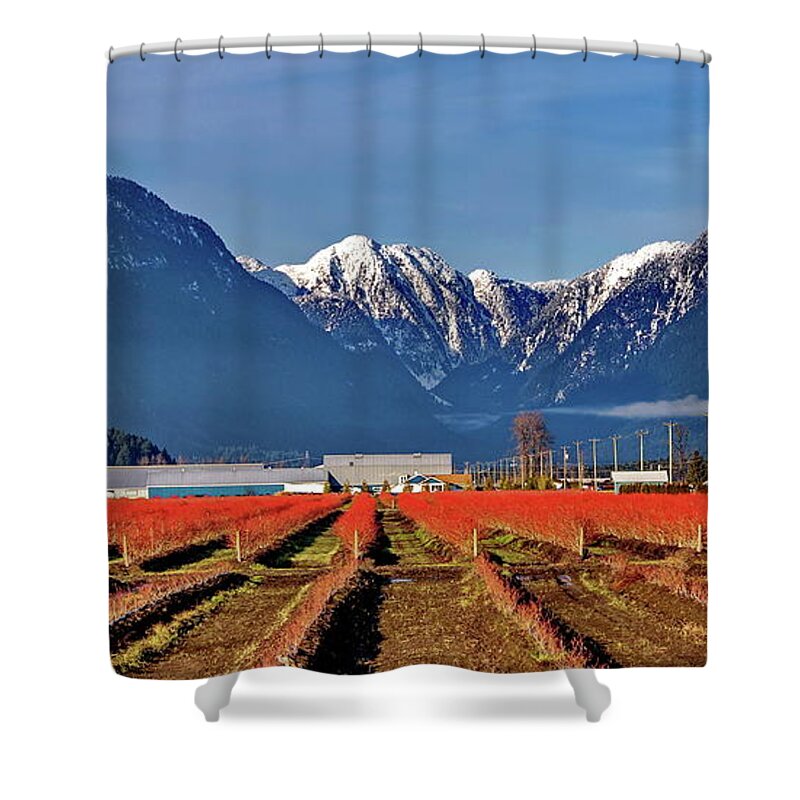 Alex Lyubar Shower Curtain featuring the photograph Blueberry plantation in a mountain valley by Alex Lyubar