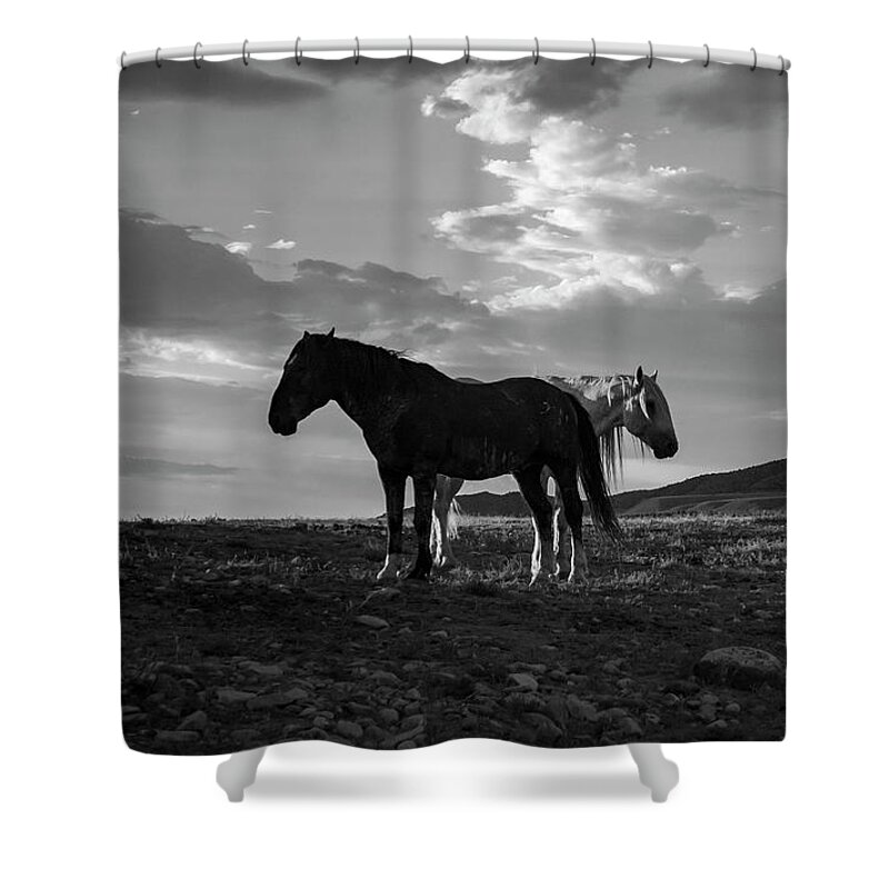 Black And White Shower Curtain featuring the photograph BnW Gandalf and Buddy by Dirk Johnson