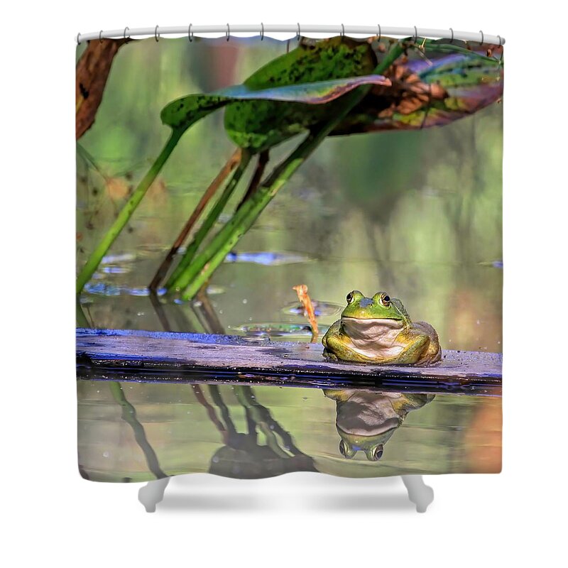 American Bullfrog Shower Curtain featuring the photograph Boardwalk by Donna Kennedy