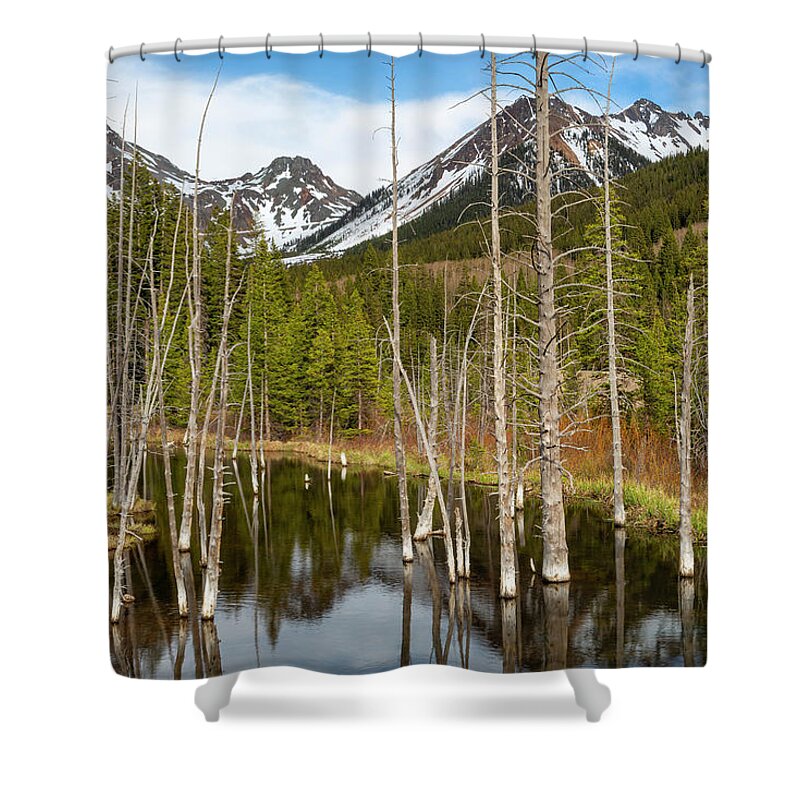 Bog Shower Curtain featuring the photograph Boggy Reflections by Denise Bush