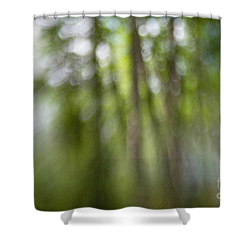 Abstract Shower Curtain featuring the photograph Bohek Forest by Priska Wettstein