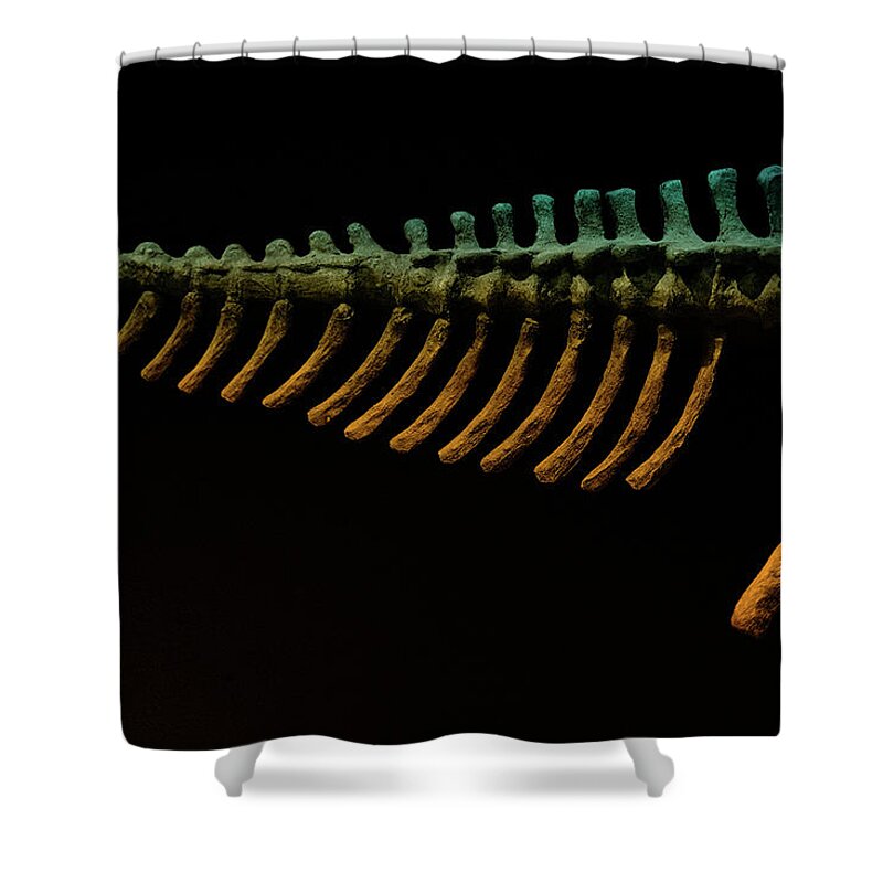 Science Shower Curtain featuring the photograph Bones by Cynthia Dickinson