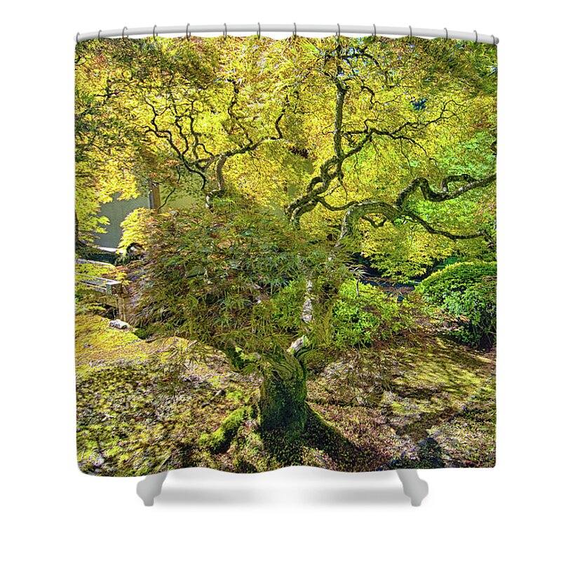 Portland Shower Curtain featuring the photograph Bonsai Tree - Japanese by Bruce Friedman