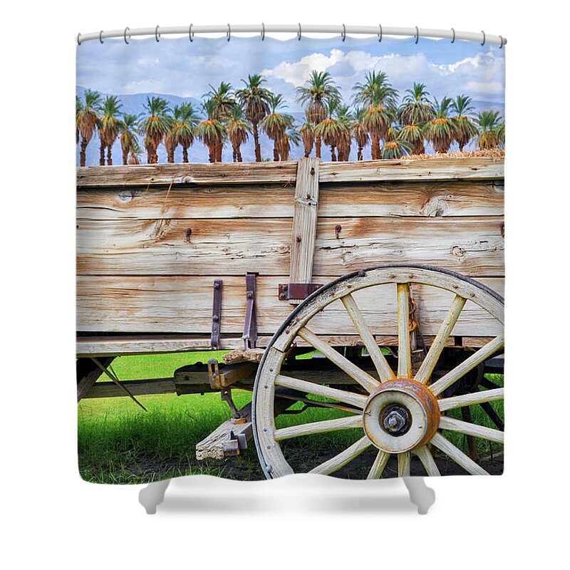 Death Valley National Park Shower Curtain featuring the photograph Borax Museum Wagon Death Valley by Kyle Hanson
