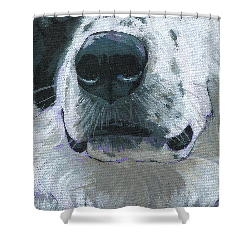 Border Collie Shower Curtain featuring the painting Border Collie- Finley by Nadi Spencer