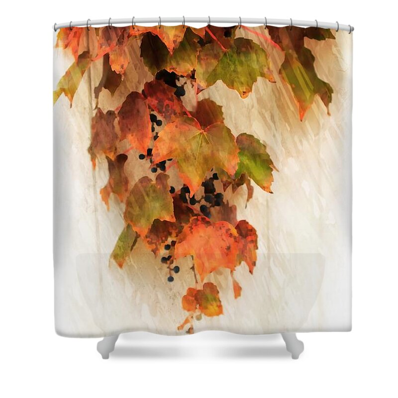  Leaves Shower Curtain featuring the photograph Boston Ivy by Marcia Lee Jones