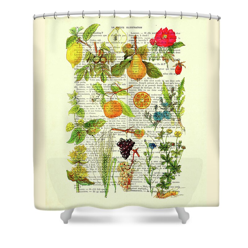 Botanical Shower Curtain featuring the digital art Botanical fruit chart in color on antique French book page by Madame Memento
