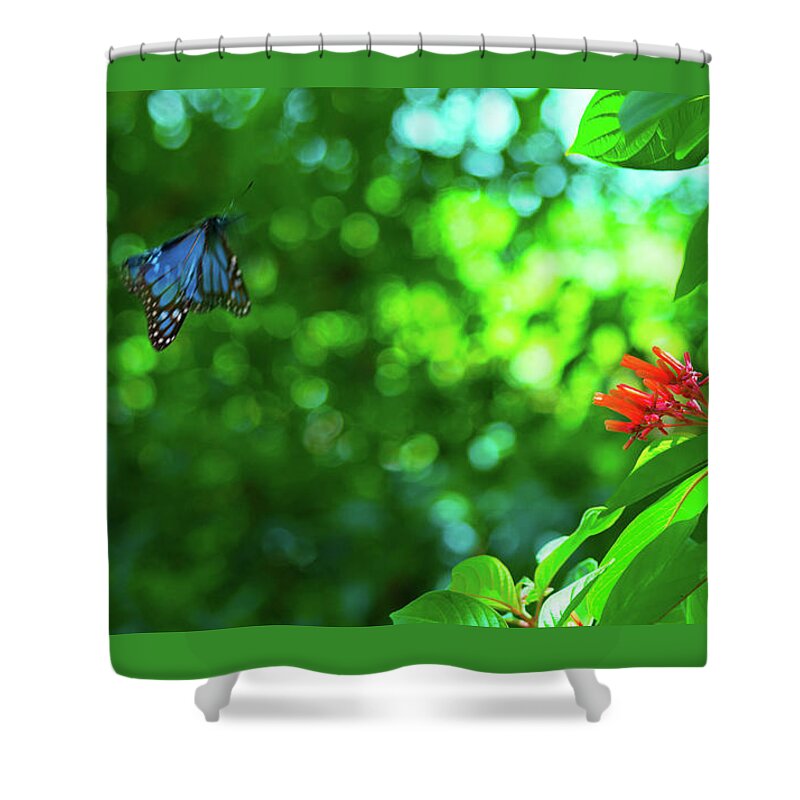 Susan Molnar Shower Curtain featuring the photograph Botanical Garden Butterfly by Susan Molnar