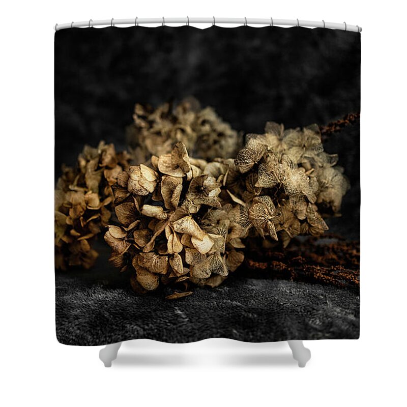 Bouguet Shower Curtain featuring the photograph Bouquet of dried hydrangea flowers by MPhotographer