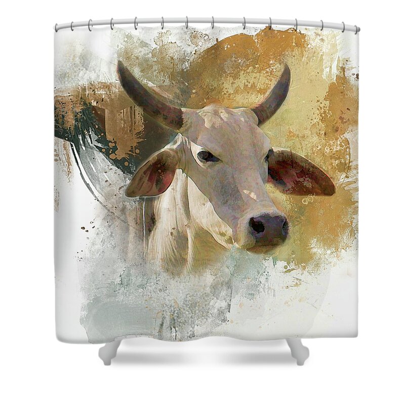 Brahma Shower Curtain featuring the photograph Brahma Portrait by HH Photography of Florida