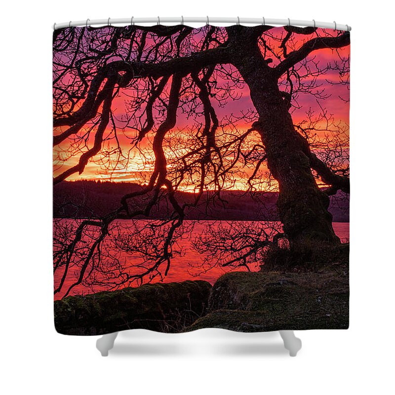Sunset Shower Curtain featuring the photograph Branches at sunset by Daniel Letford