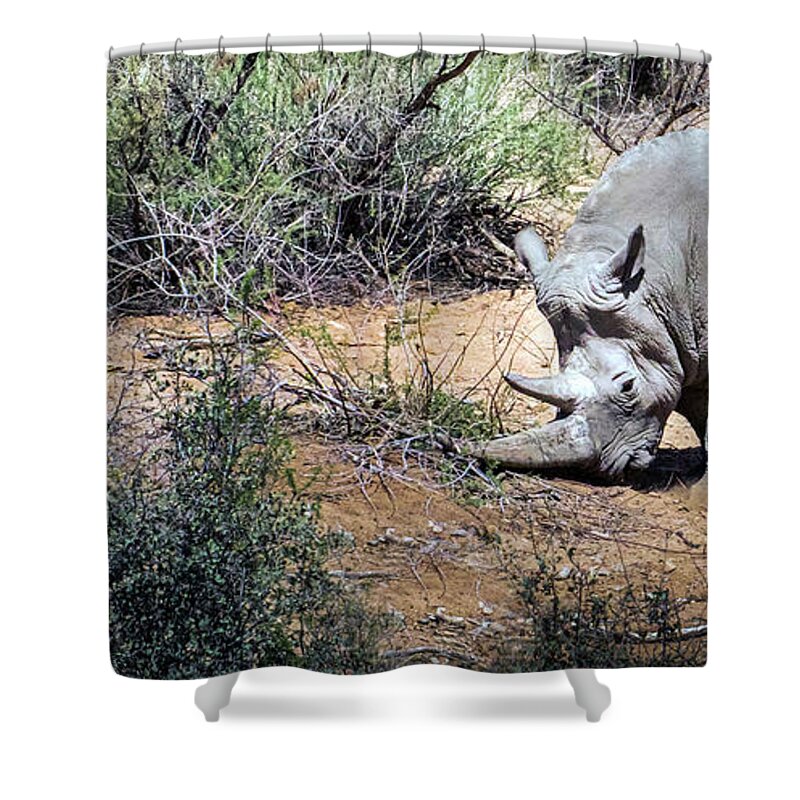 Wildlife Shower Curtain featuring the photograph Brave Warrior by Laura Putman