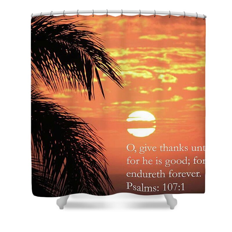 Sunsets Shower Curtain featuring the photograph Breathtaking by Karen Nicholson