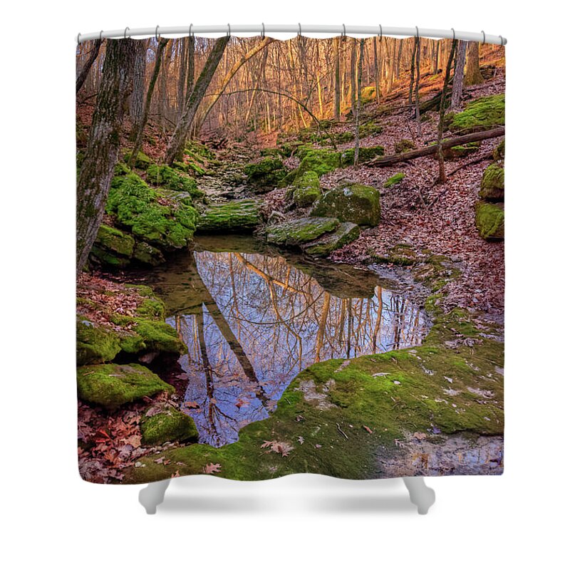 Magnolia Hollow Conservation Area Shower Curtain featuring the photograph Brickey Hills Natural Area by Robert Charity