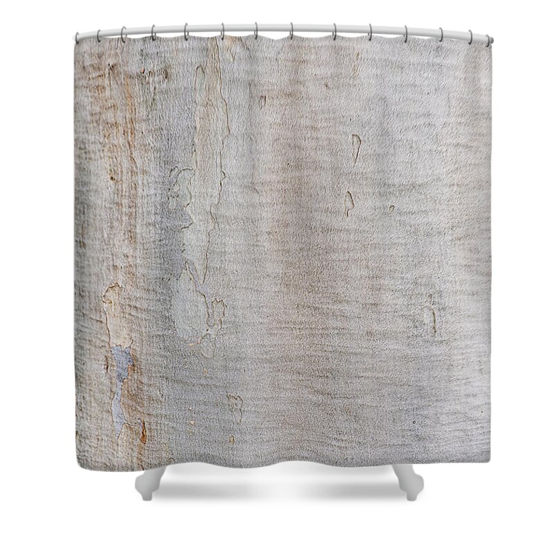 Australia Shower Curtain featuring the photograph White Bark by Jay Heifetz