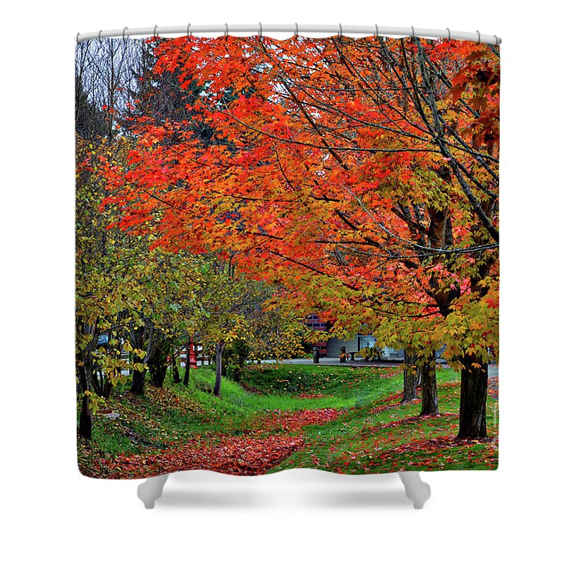 Autumn-colors Shower Curtain featuring the digital art Bright Orange Fall Colors by Kirt Tisdale