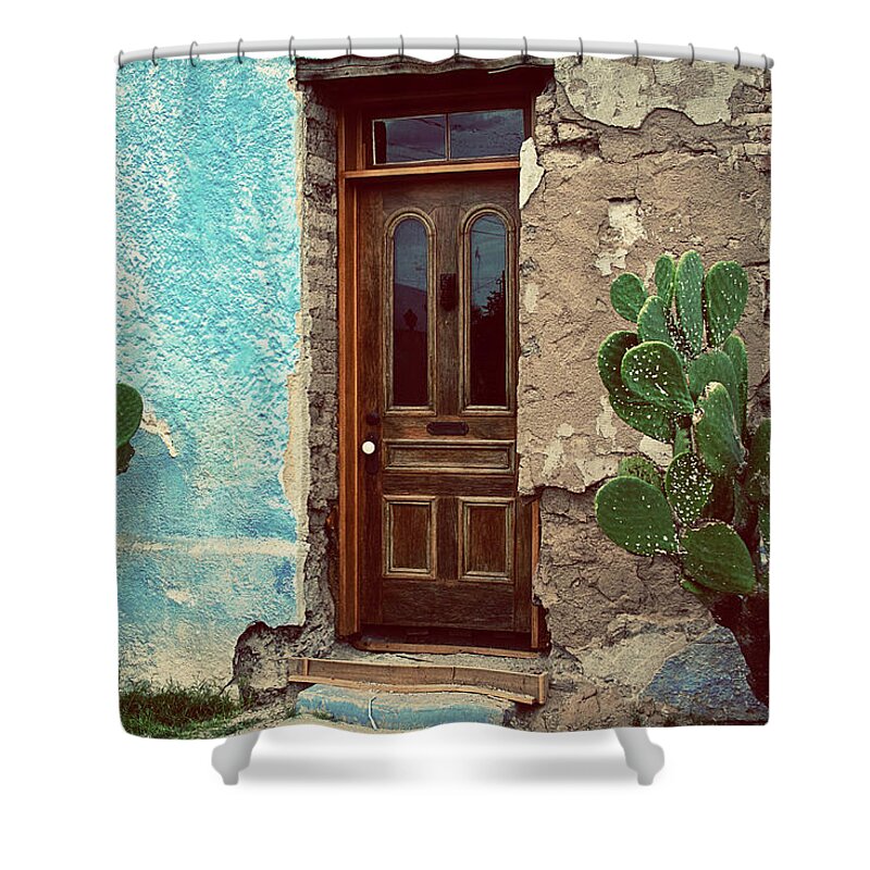 Doors Shower Curtain featuring the photograph Brown Stone by Carmen Kern