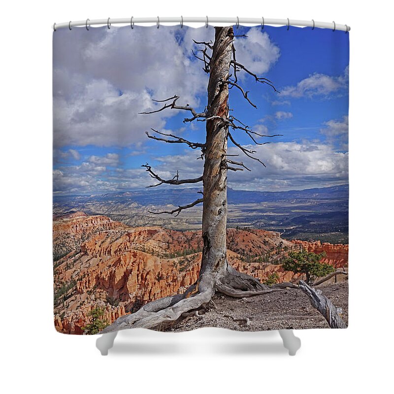 Bryce Canyon National Park Shower Curtain featuring the photograph Bryce Canyon National Park - Still standing by Yvonne Jasinski